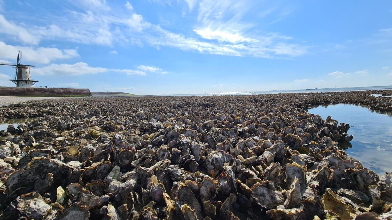 Appartement Havenzicht, Gelegen Aan Zee Met Zeezicht Vlissingen Luaran gambar